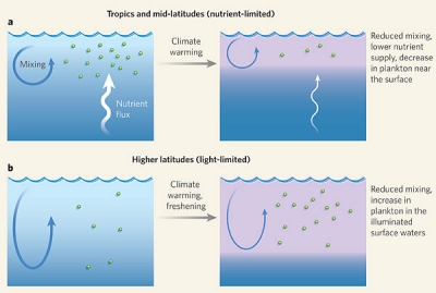 Plankton response to climate change