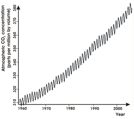 Mauna Loa Carbon Dioxide 1959-2005
