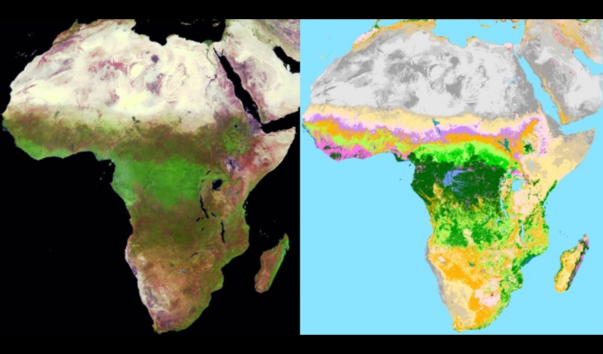 Παγκόσμια κάλυψη του εδάφους της Αφρικής 2000